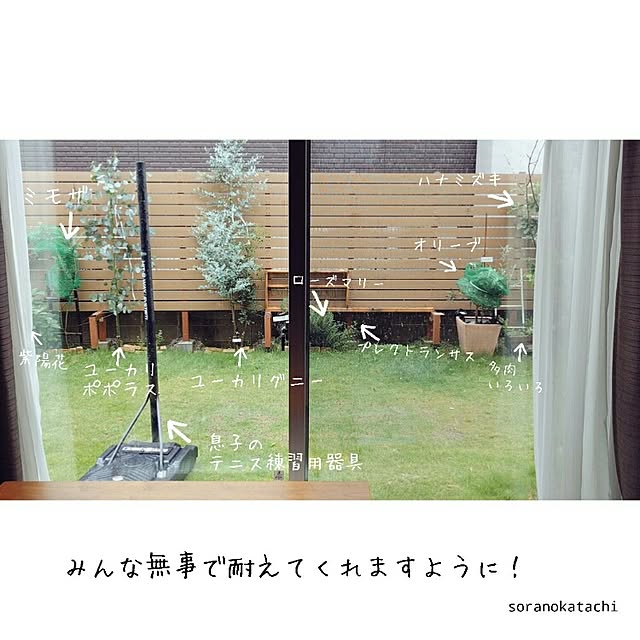 soranokatachiさんの実例写真