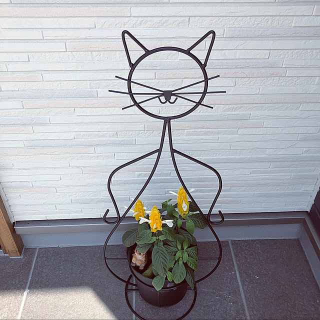 okyouさんの実例写真