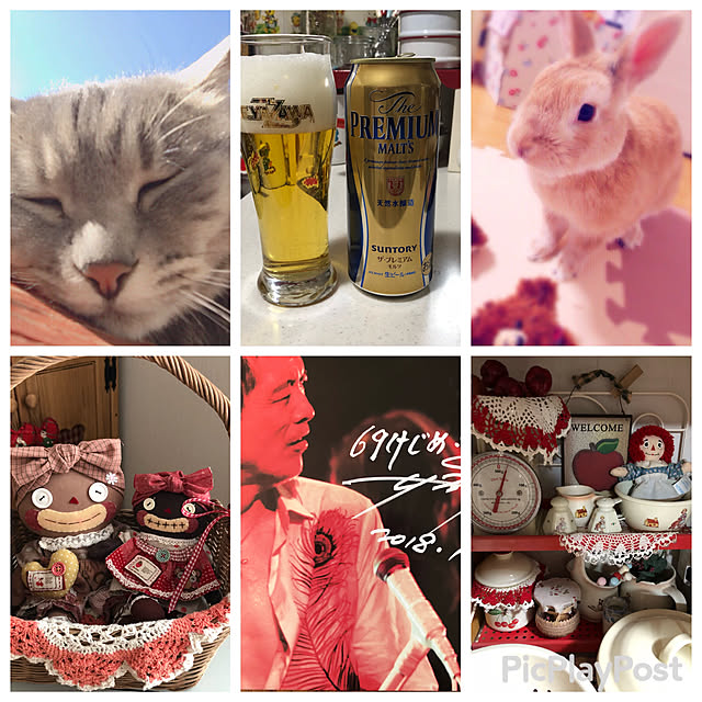 anthyさんの実例写真