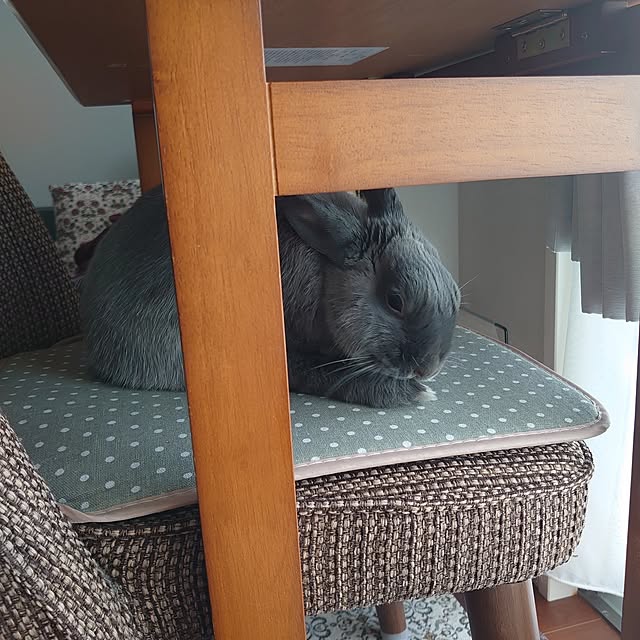 kirariさんの部屋