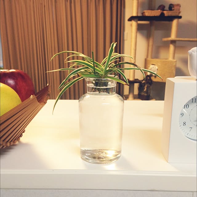 nana onさんの実例写真