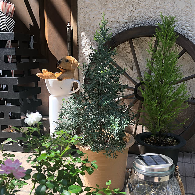 Nobbyさんの実例写真