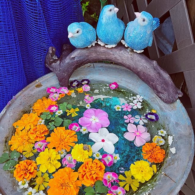 mocomocoさんの実例写真