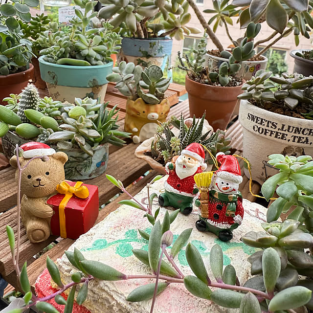 Aqettyさんの実例写真