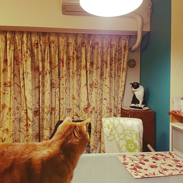 okyosan101さんの実例写真