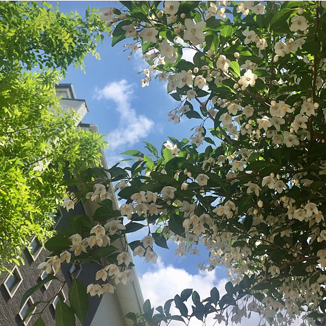 kei_sさんの実例写真