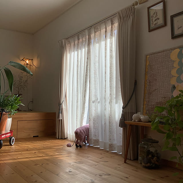 naive.coccoさんの実例写真