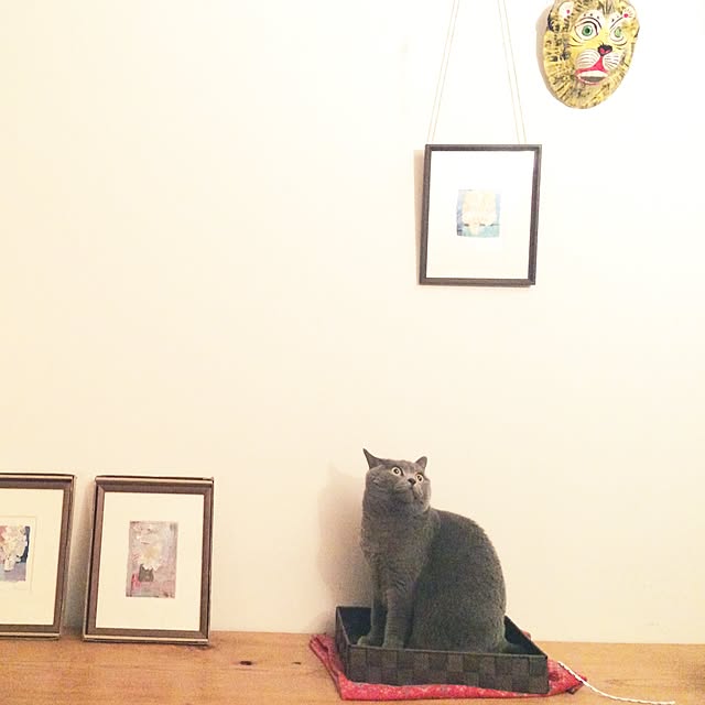 aさんの実例写真