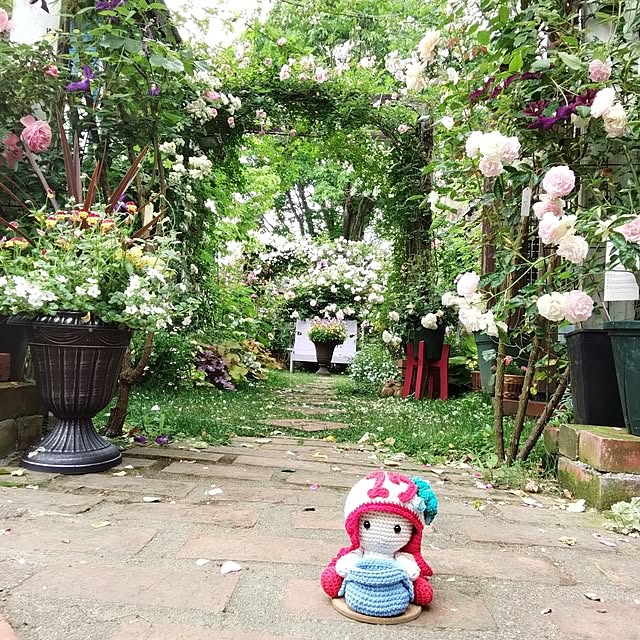 fujiyayuさんの実例写真