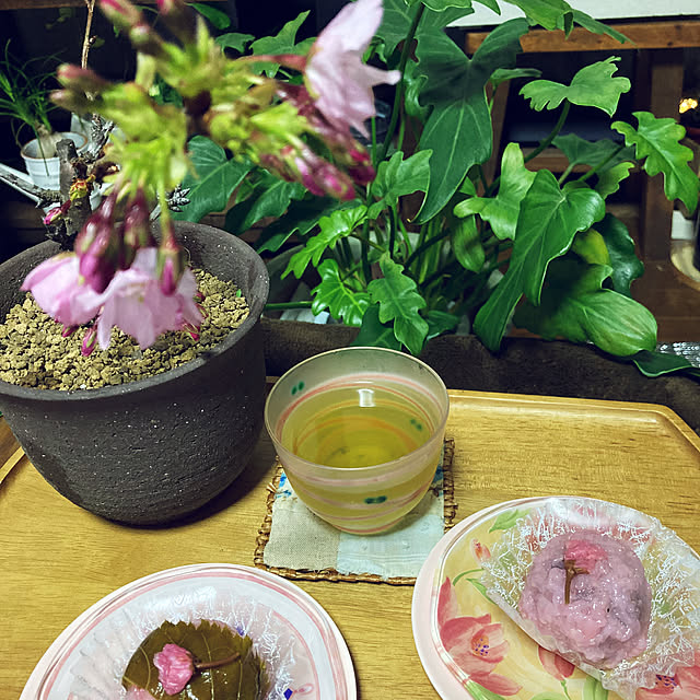 cota2さんの部屋