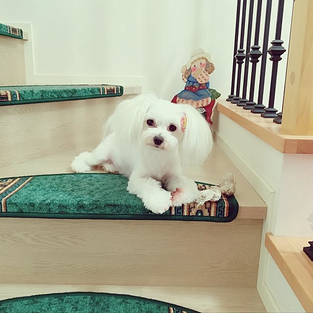 nicoさんの実例写真