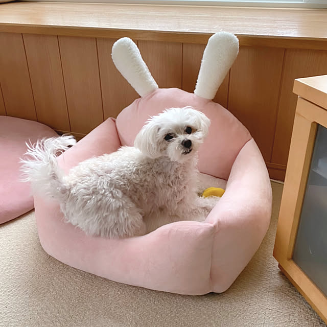 anzさんの実例写真