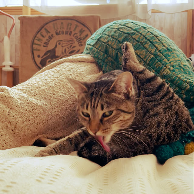 Mさんの実例写真