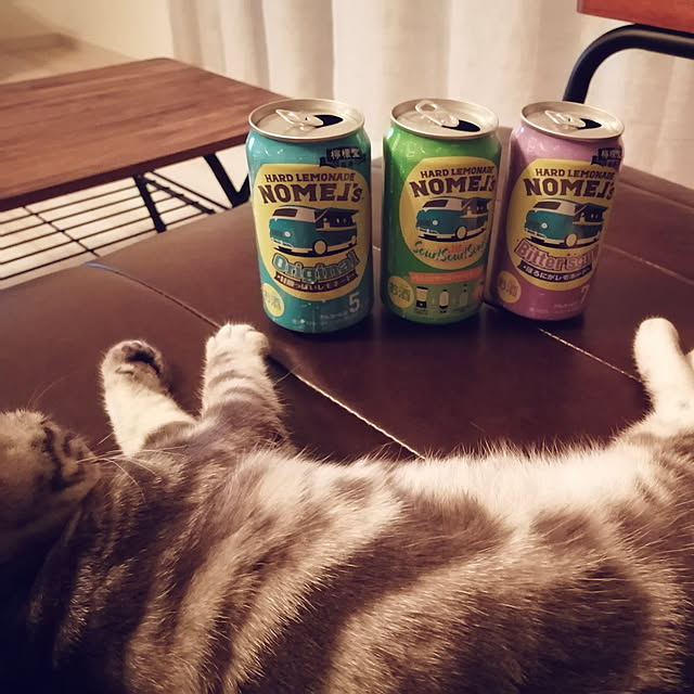 korachanさんの実例写真