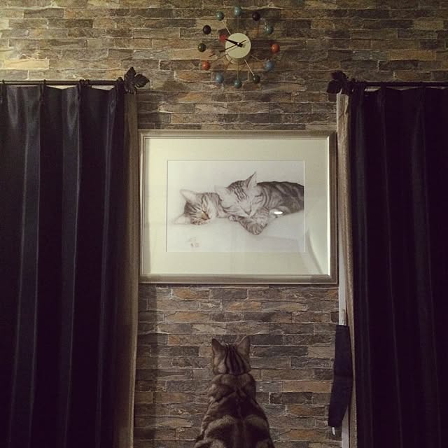 Kaakoさんの実例写真