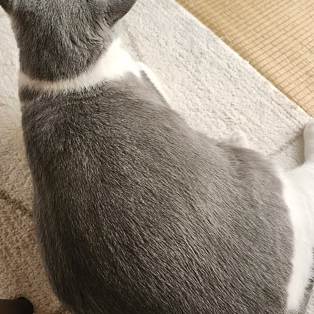 rhuさんの部屋