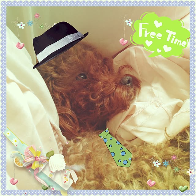 yumicyanさんの実例写真