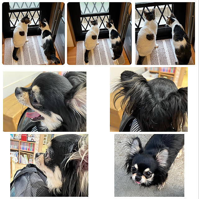 melmelさんの実例写真