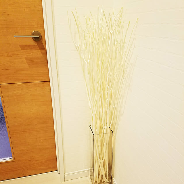 Junkoさんの実例写真