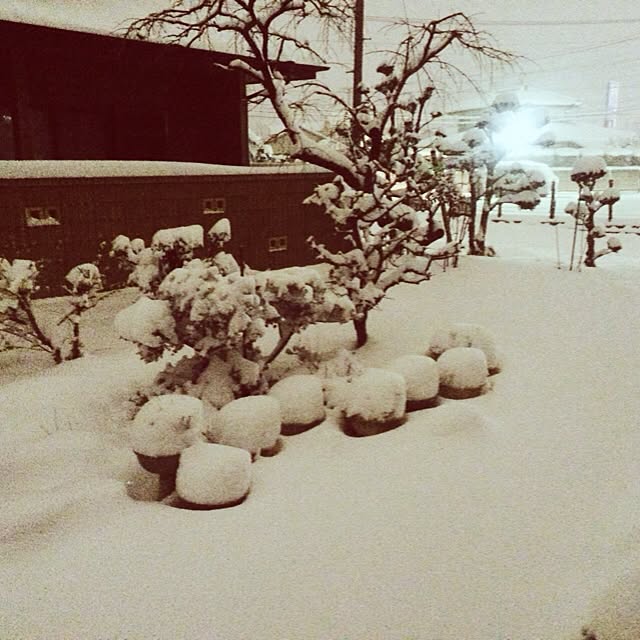 kaoriさんの実例写真