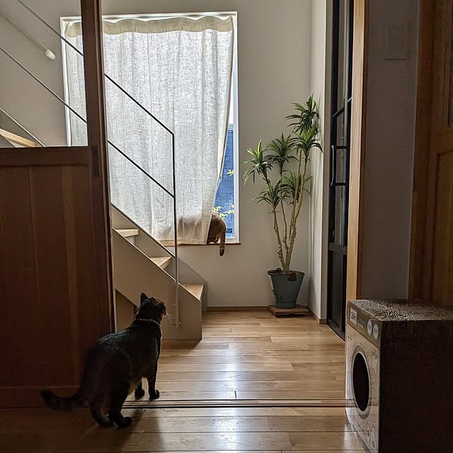 yukkyさんの実例写真