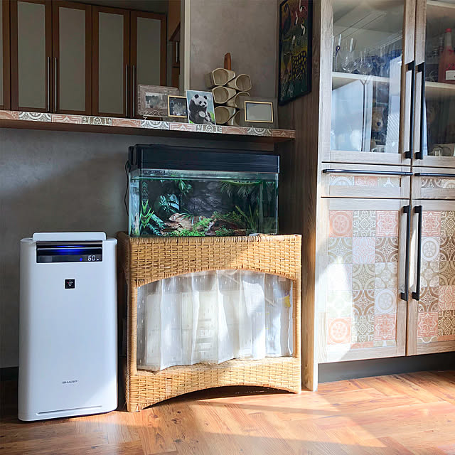KirinPandaさんの実例写真