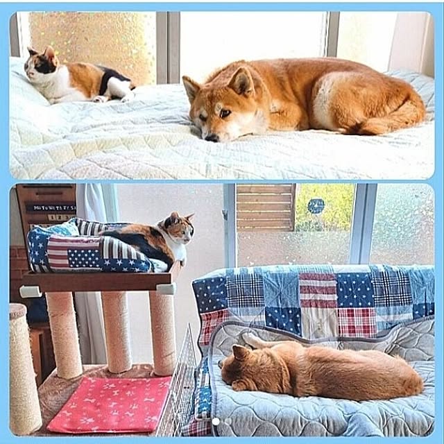 nanaさんの実例写真