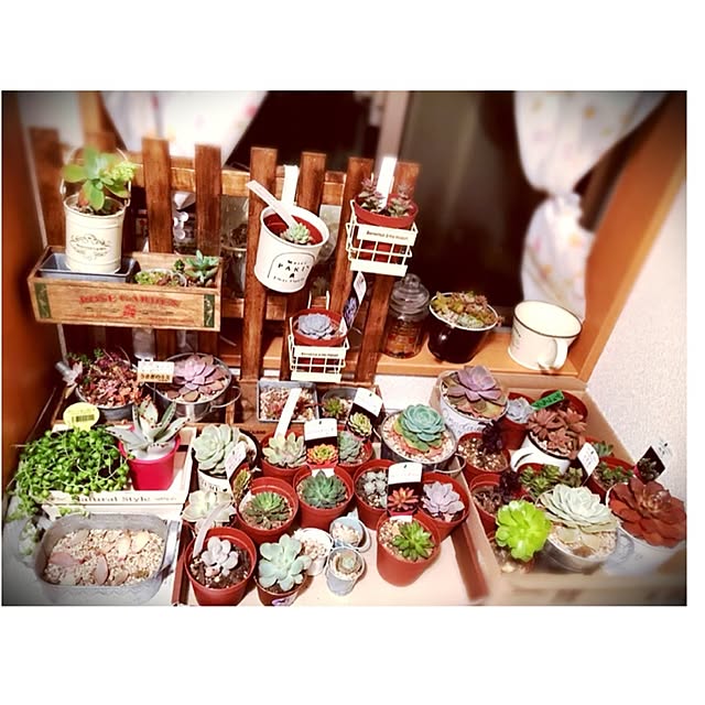 sapi56brrさんの実例写真