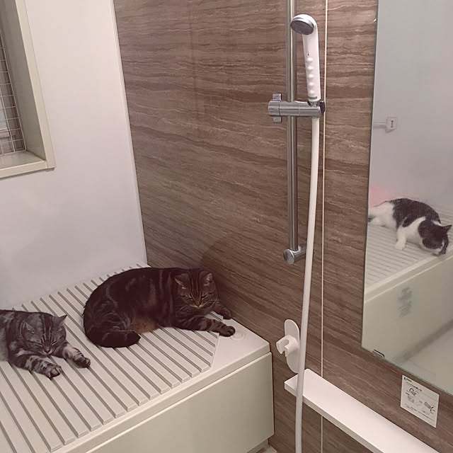mikomaruさんの実例写真