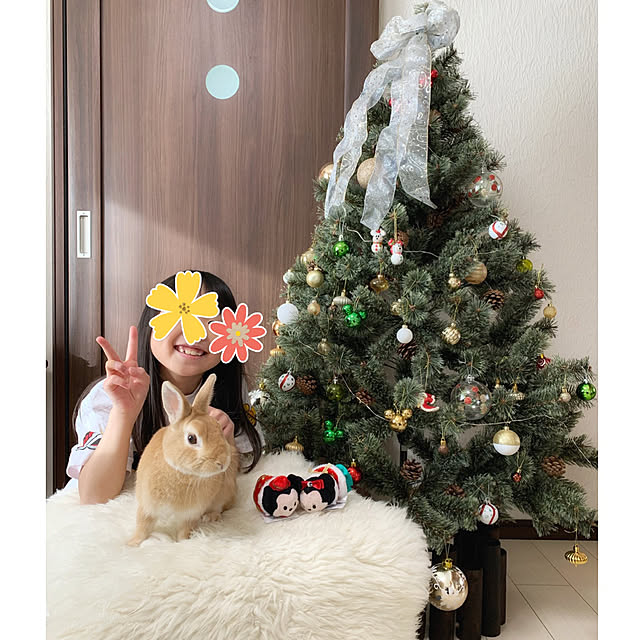 Michiさんの実例写真