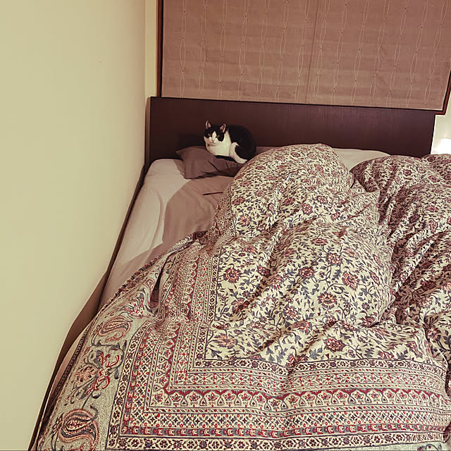 noraさんの実例写真