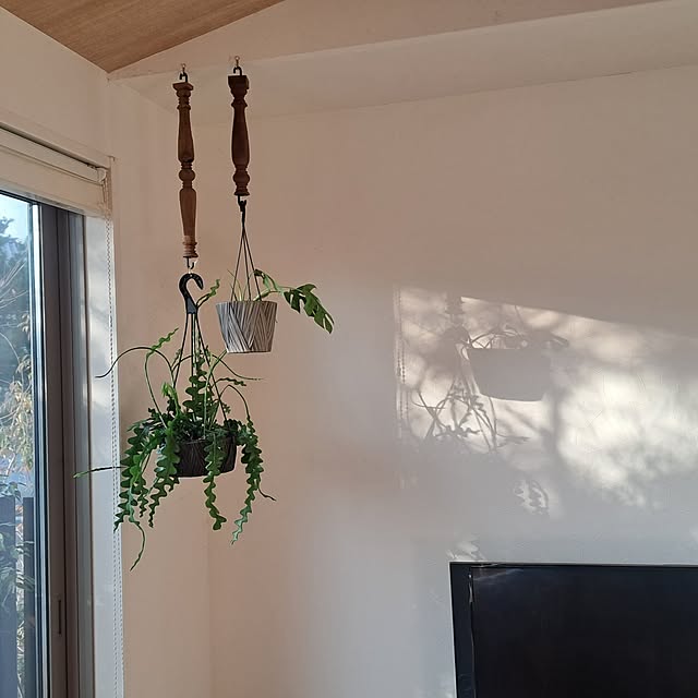 壁/天井/VONA wooden spindle/Vona/インテリア/窓からの景色...などのインテリア実例 - 2025-02-10 21:41:26