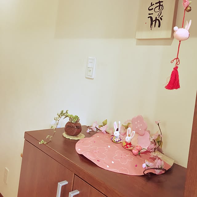 玄関/入り口/観葉植物/雑貨のインテリア実例 - 2017-04-02 16:04:44