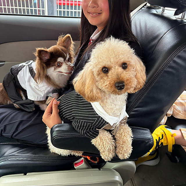 chIoeさんの部屋