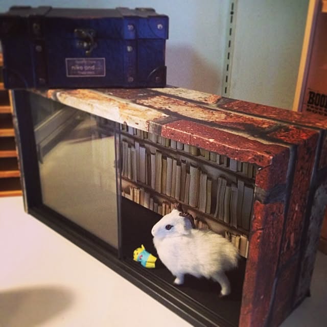 runさんの実例写真