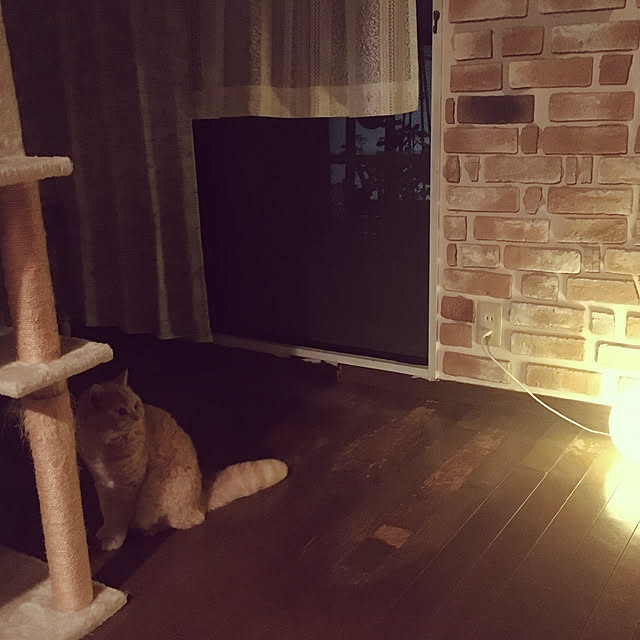 naokoさんの実例写真