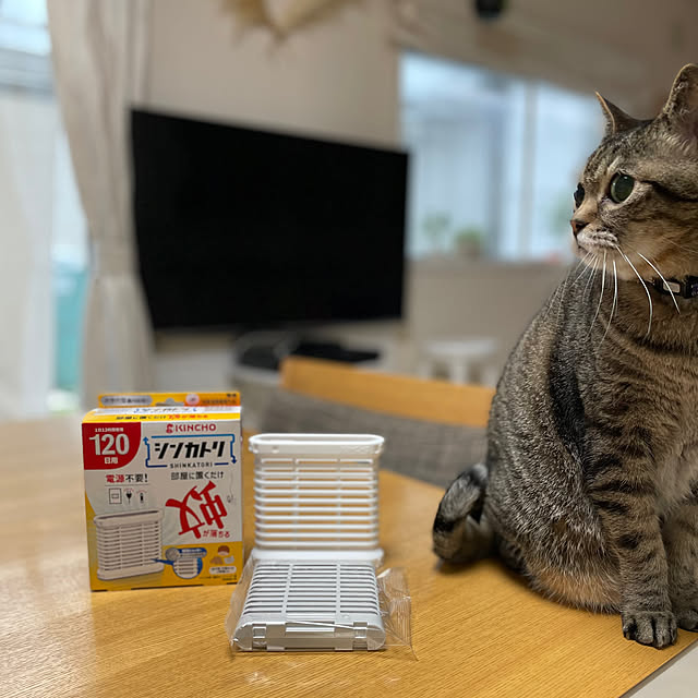 t-famさんの実例写真