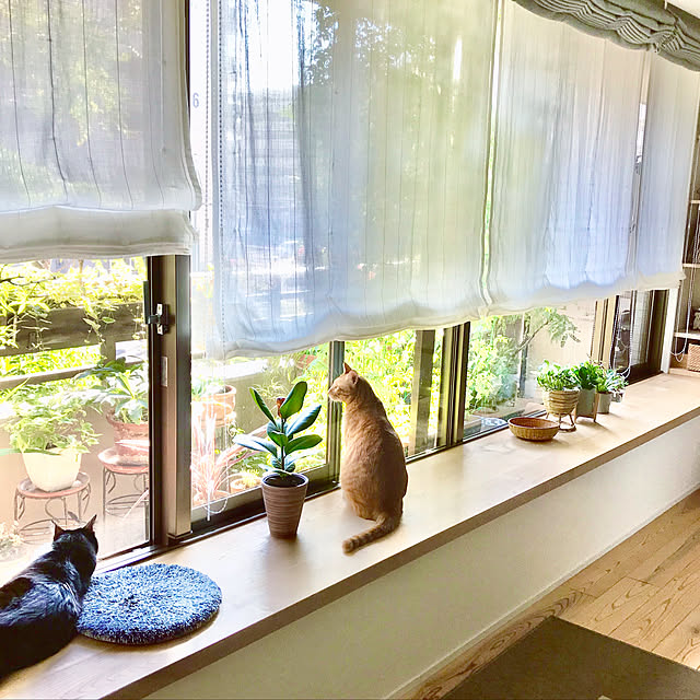 pooさんの実例写真
