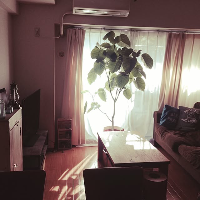 miuさんの実例写真