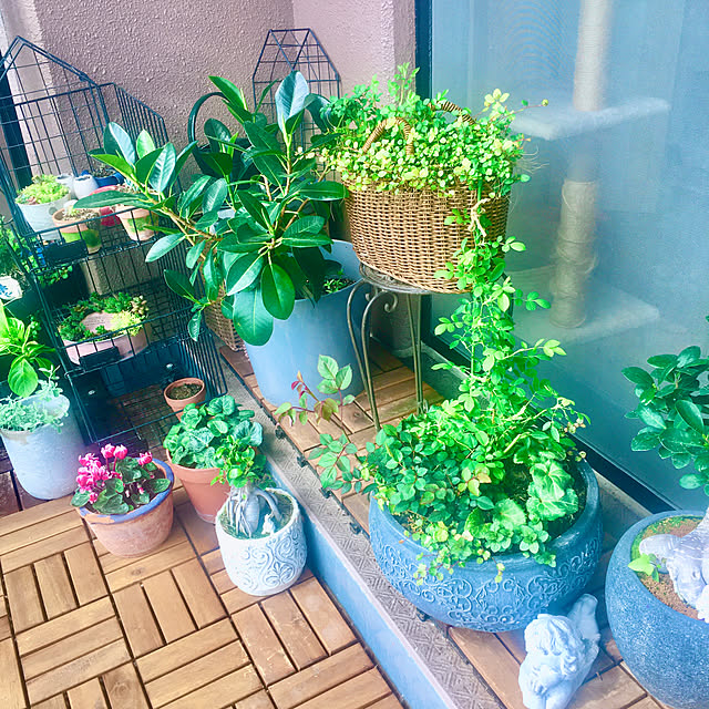 naokoさんの部屋