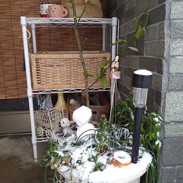 ameamekaasanさんの実例写真