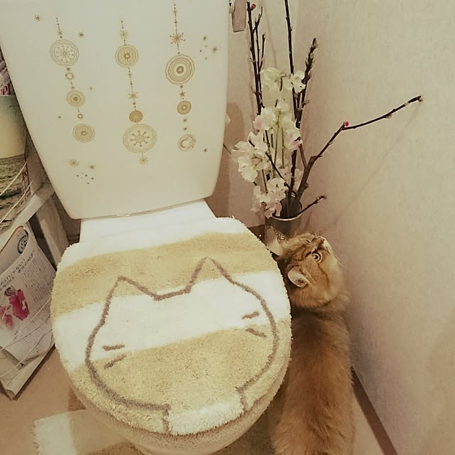 nanoさんの実例写真