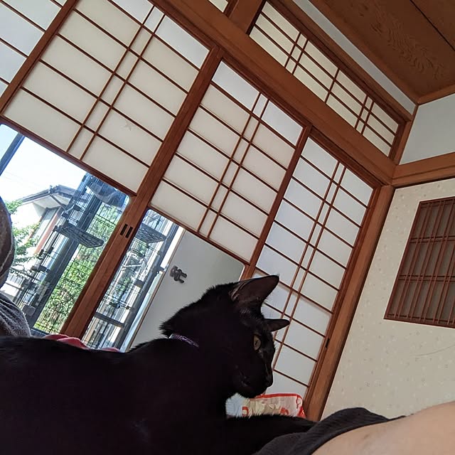 asaさんの実例写真