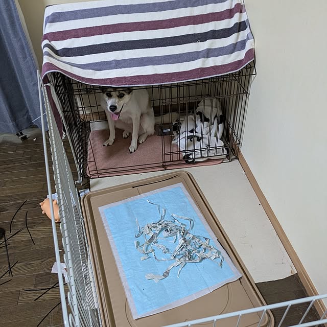 asaさんの部屋
