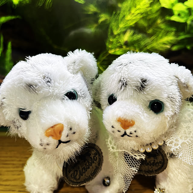 Ti-Haさんの実例写真