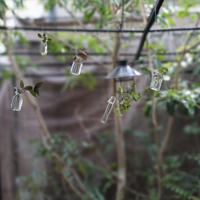 mori_6_12さんの実例写真