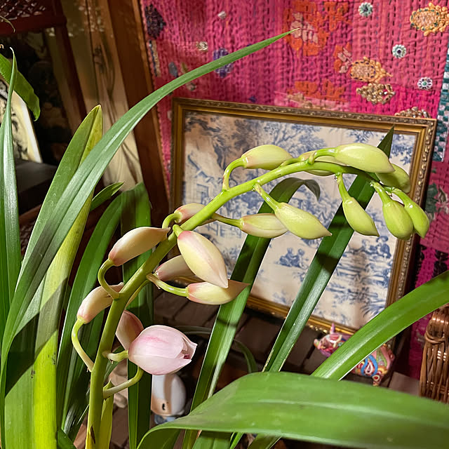 shin0719さんの実例写真