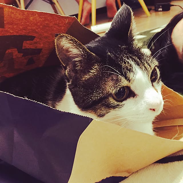 minkokoさんの実例写真