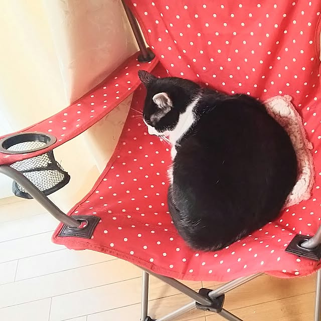 oliveさんの実例写真