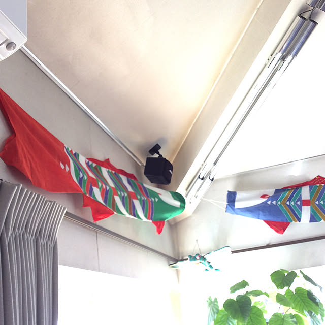 ハンドメイド/観葉植物/壁/天井のインテリア実例 - 2021-04-27 08:48:11